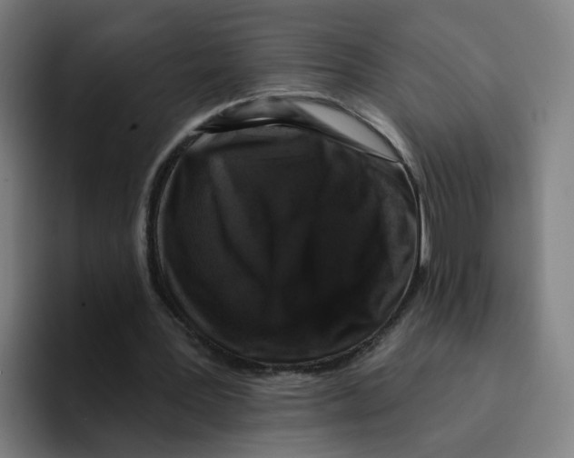 X0000094940387200712271617