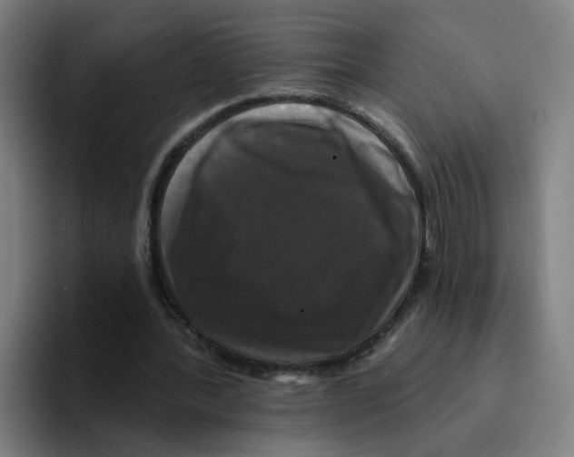 X0000094940388200712271617