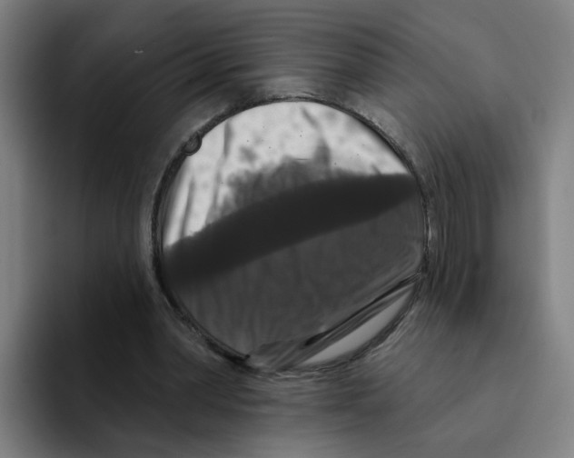 X0000094940390200712271617