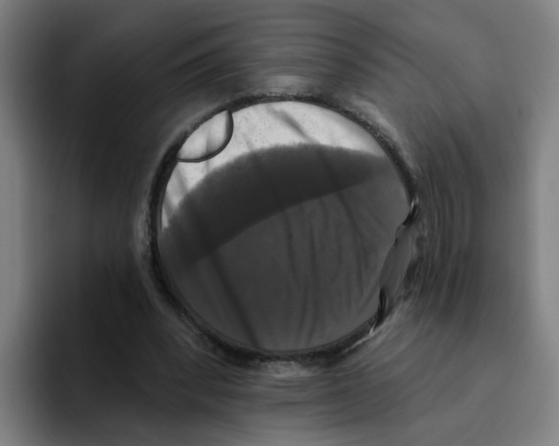 X0000094940392200712271617
