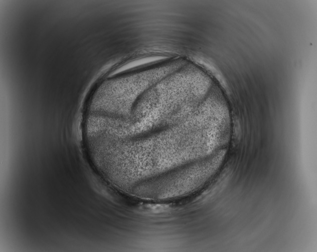 X0000094940395200712271617