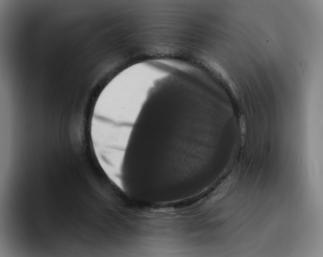 X0000094940396200712271617