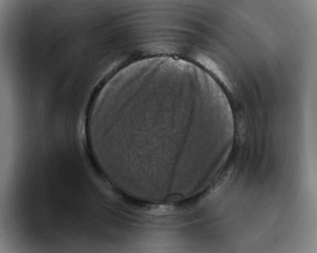X0000094940398200712271617