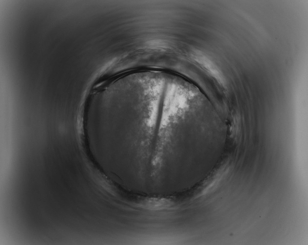 X0000094940399200712271617