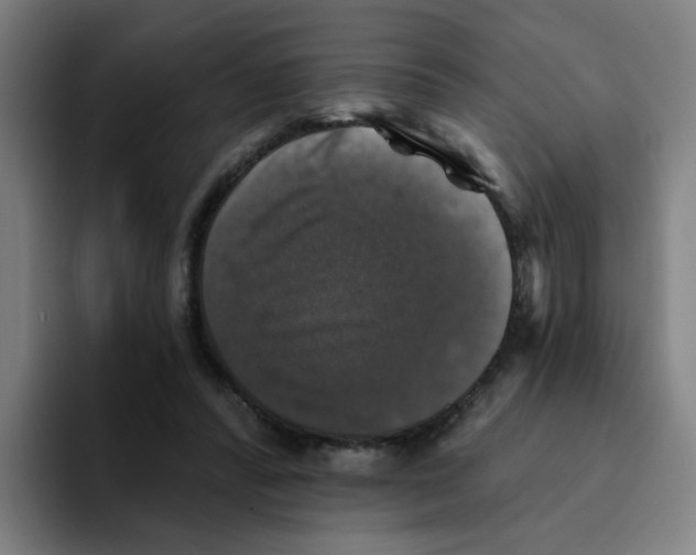 X0000094940400200712271617