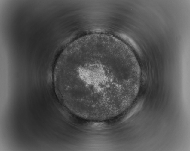 X0000094940401200712271617