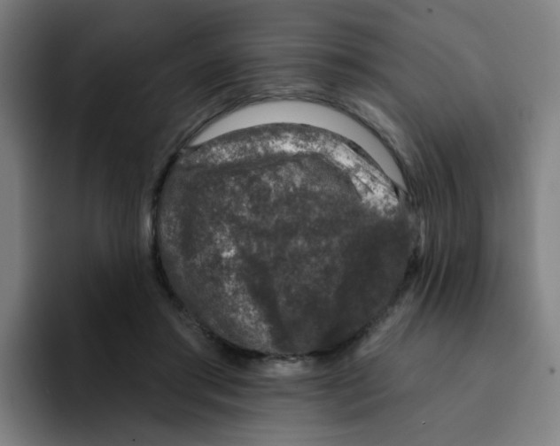 X0000094940405200712271617