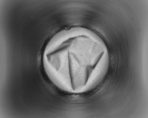 X0000094940406200712271617