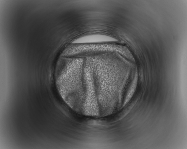 X0000094940408200712271617