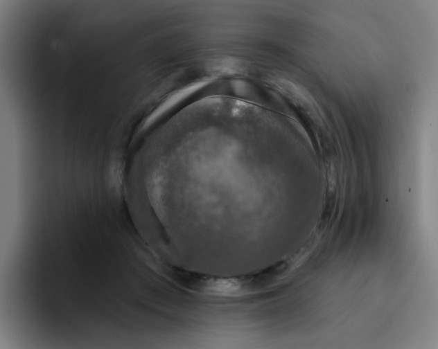 X0000094940409200712271617