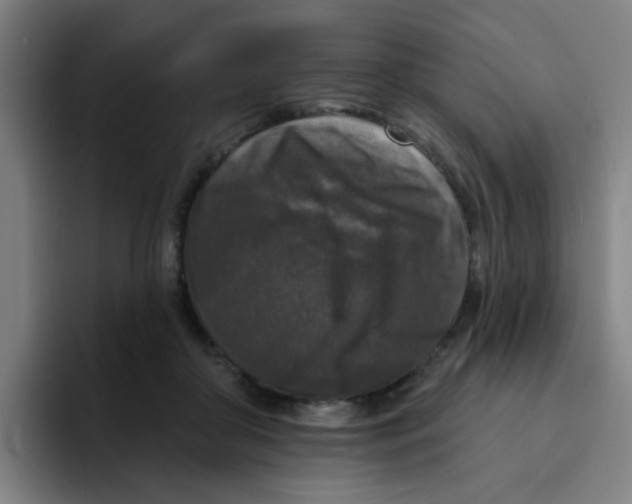 X0000094940410200712271617