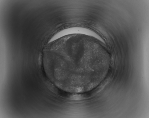 X0000094940413200712271617