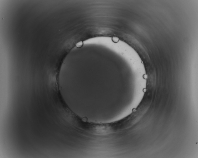 X0000094940415200712271617
