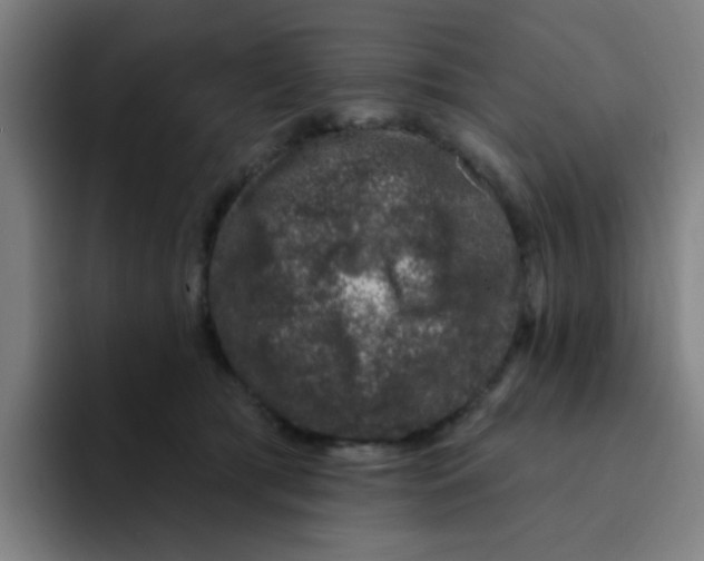 X0000094940417200712271617
