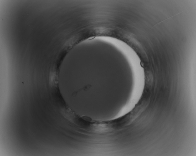 X0000094940419200712271617