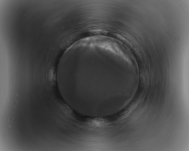 X0000094940420200712271617