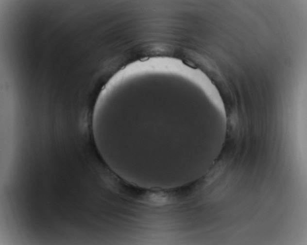 X0000094940423200712271617