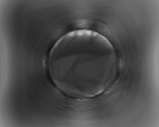 X0000094940424200712271617