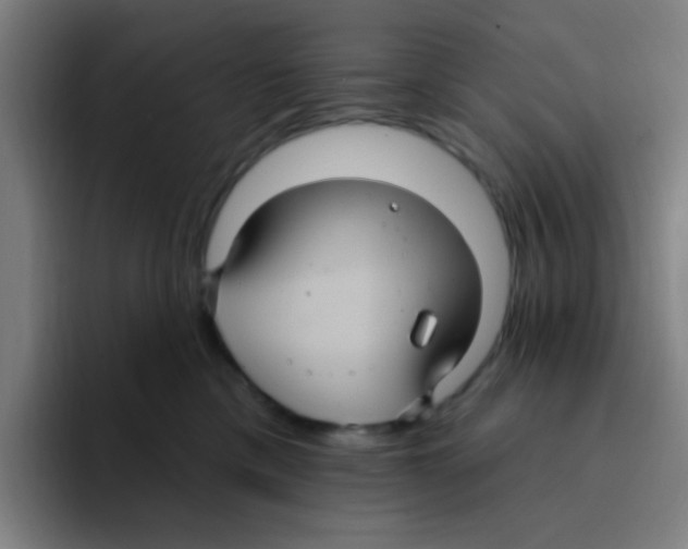 X0000094940425200712271617