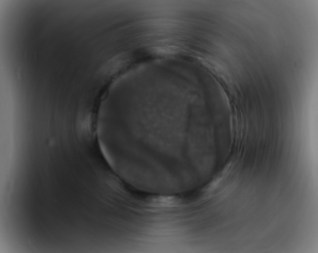 X0000094940428200712271617