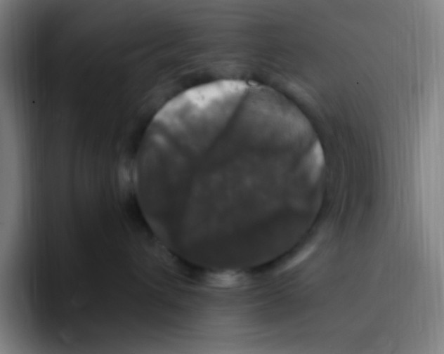 X0000094940432200712271616