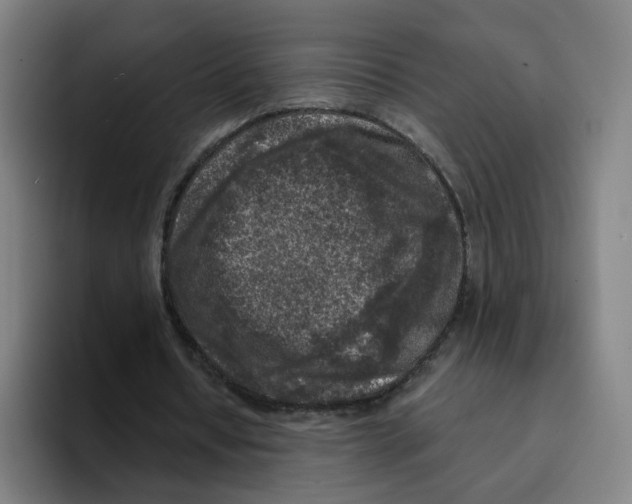 X0000094940434200712271616