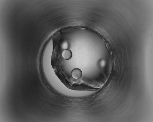 X0000094940436200712271616