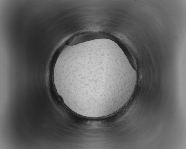 X0000094940440200712271616