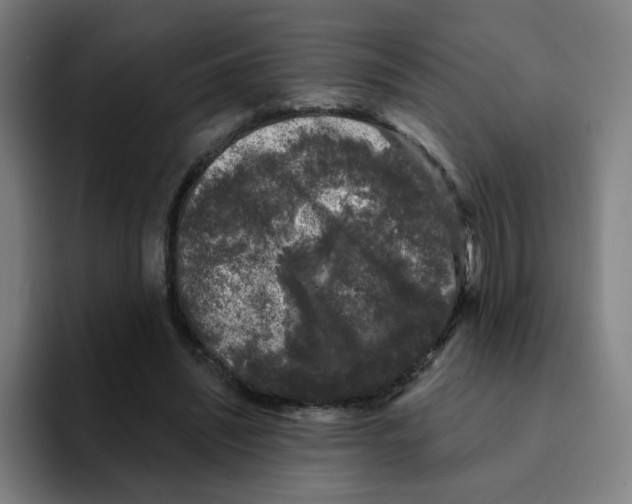 X0000094940444200712271616