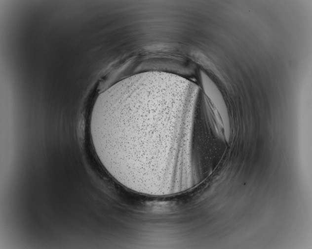 X0000094940448200712271616