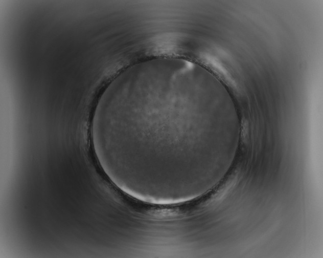 X0000094940449200712271616