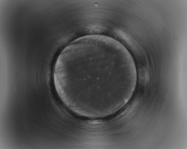 X0000094940451200712271616