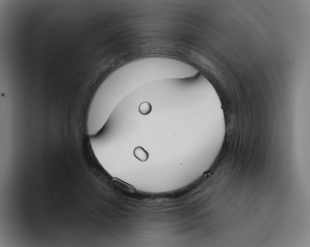 X0000094940452200712271616