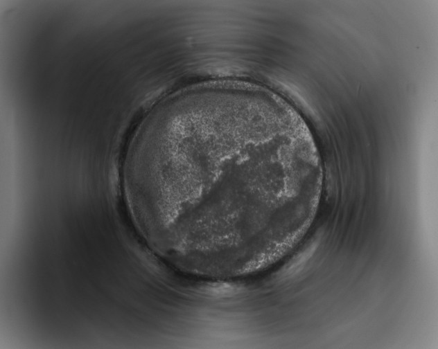 X0000094940453200712271616