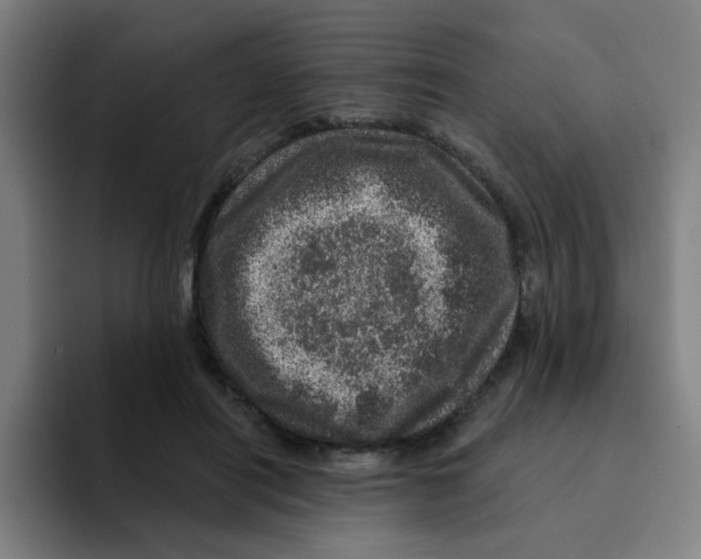 X0000094940454200712271616