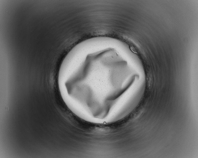 X0000094940455200712271616