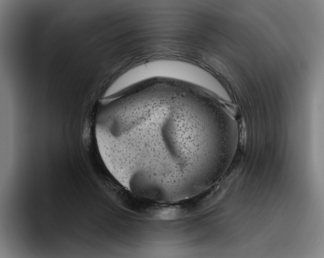 X0000094940456200712271616