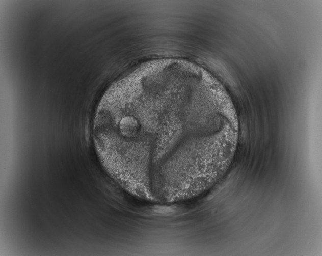X0000094940457200712271616