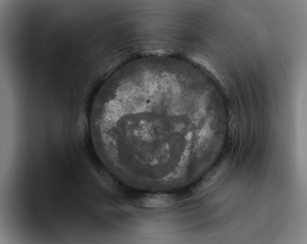 X0000094940459200712271616