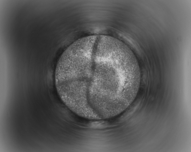 X0000094940461200712271616