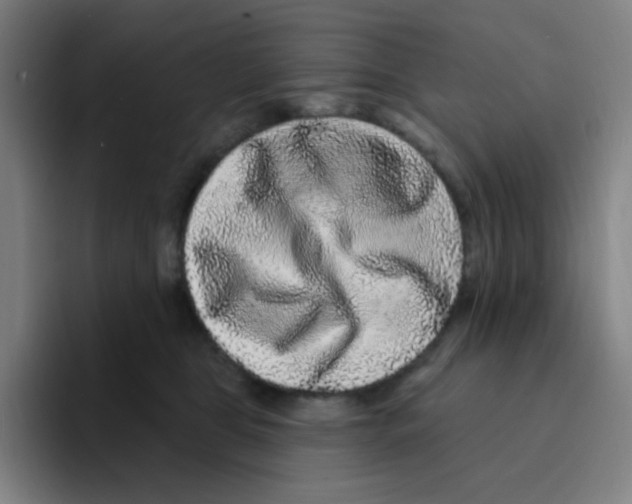 X0000094940469200712271616