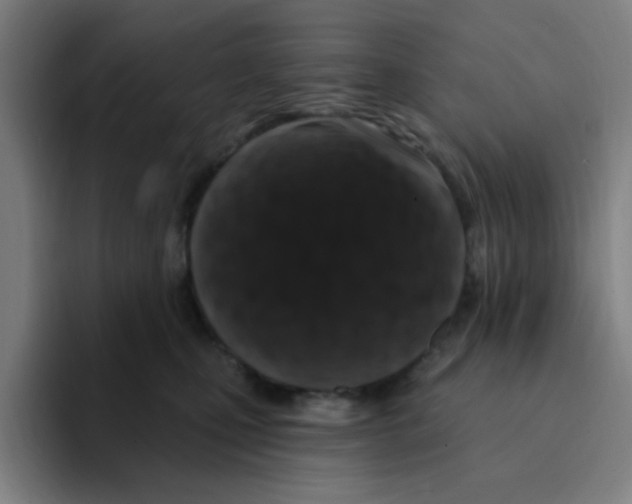 X0000094940471200712271616