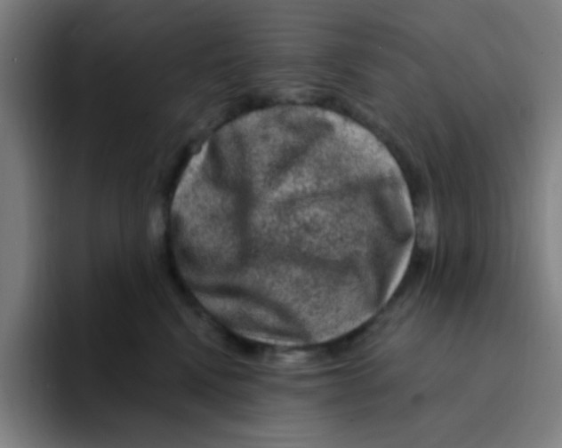 X0000094940472200712271616