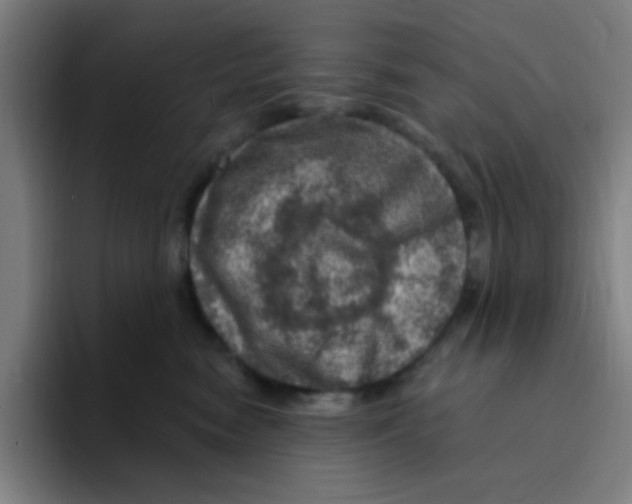 X0000094940474200712271616