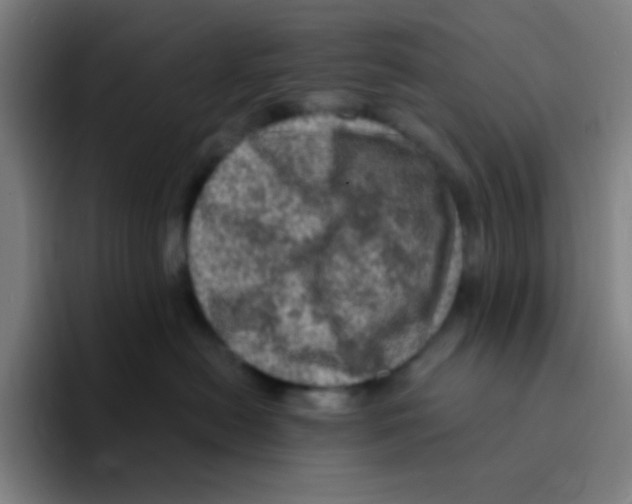X0000094940478200712271616