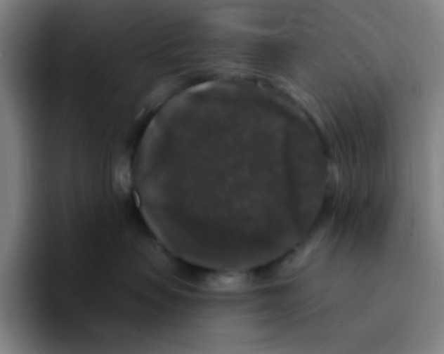 X0000094940479200712271616