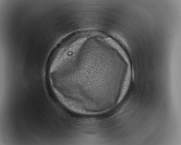 X0000094940483200712271616