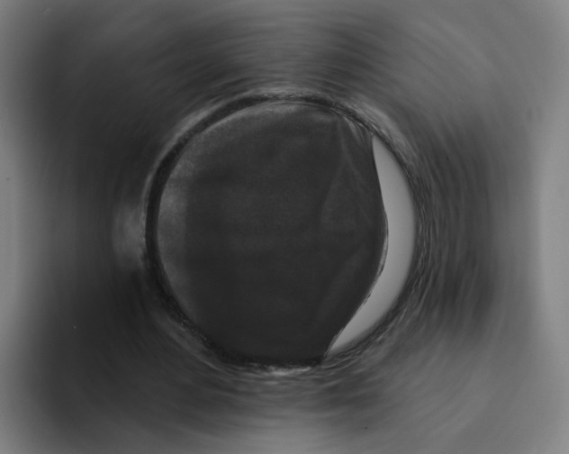 X0000094940484200712271616