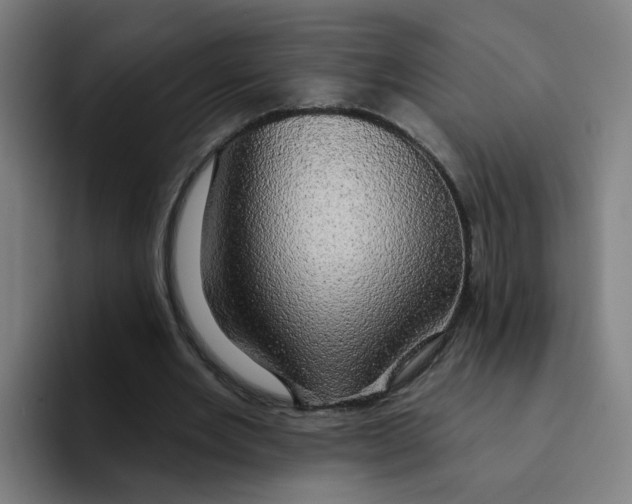 X0000094940485200712271616