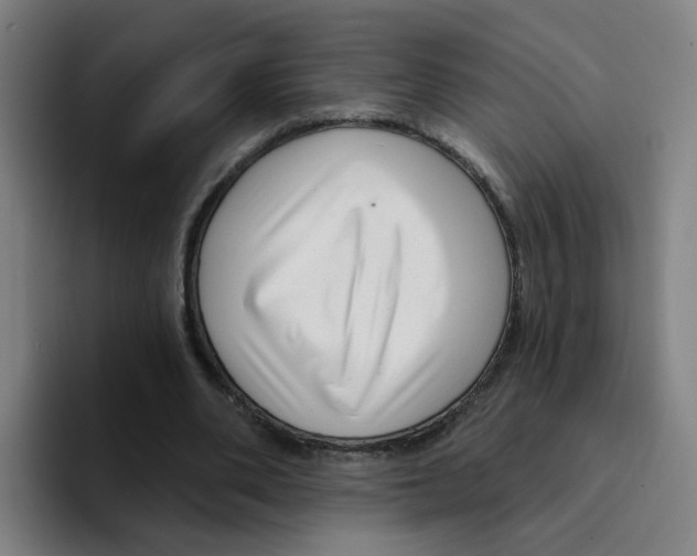X0000094940486200712271616
